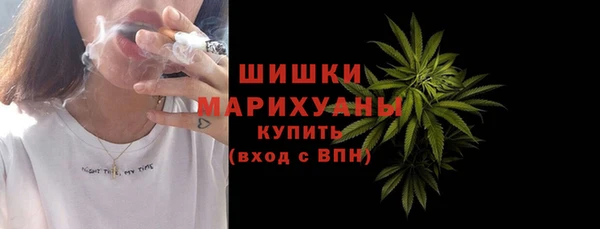 эйфоретик Арсеньев