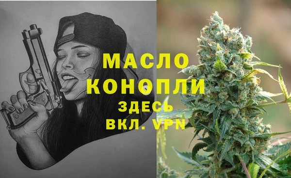 эйфоретик Арсеньев