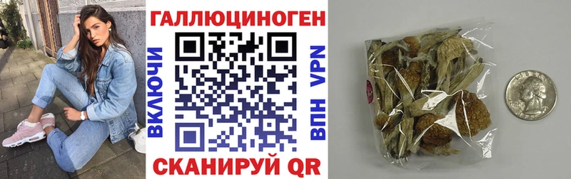 Галлюциногенные грибы Magic Shrooms  Игра 